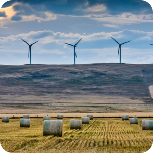 2-Dec-16-2025-05-31-42-8796-PM